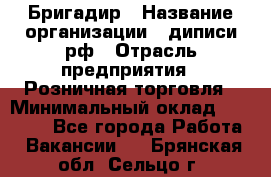 Бригадир › Название организации ­ диписи.рф › Отрасль предприятия ­ Розничная торговля › Минимальный оклад ­ 35 000 - Все города Работа » Вакансии   . Брянская обл.,Сельцо г.